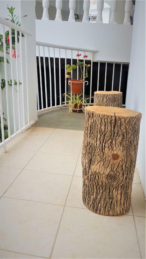 Residencial Che Guevara Bed & Breakfast ミンデロ エクステリア 写真